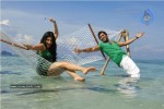 7 aam Arivu Movie Stills - 1 of 9