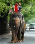 7th Sense Movie New Stills - 29 of 49