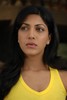Gadde Sindhura - Miss World New Movie - 40 of 40