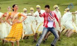 Aagadu Movie Pics - 2 of 4