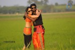 Adhu Vera Idhu Vera Tamil Movie Hot Stills - 39 of 49