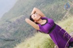 Alaral Tamil Movie Spicy Stills - 31 of 50