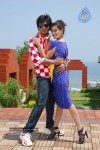 Alasyam Amrutham Movie New Photo Gallery - 10 of 32