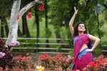 Anandini Movie New Stills - 5 of 39