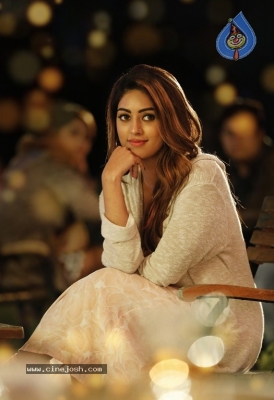 Anu Emmanuel Birthday Poster And Still - 2 of 2