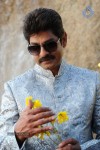 April Fool Movie Photos - 1 of 21