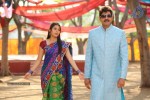 April Fool Movie Photos - 13 of 21