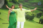 April Fool Movie Photos - 16 of 21