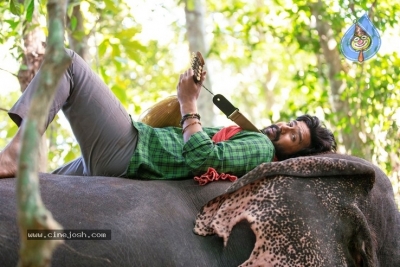 Aranya Movie Stills - 1 of 2