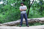 Aravind 2 Movie Latest Photos - 69 of 75