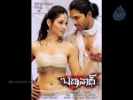Badrinath Movie Latest Wallpapers - 15 of 20