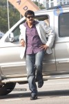 Balakrishna's Simha Movie Latest Gallery - 2 of 40