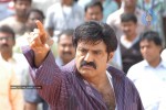 Balakrishna's Simha Movie Latest Gallery - 5 of 40