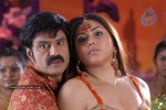 Balakrishna's Simha Movie Latest Gallery - 8 of 40