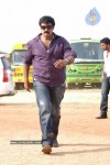 Balakrishna's Simha Movie Latest Gallery - 17 of 40