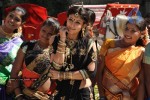 Balakrishna's Simha Movie Latest Gallery - 19 of 40