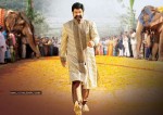 Balakrishna's Simha Movie New Gallery (Xclusive CineJosh) - 12 of 37