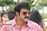 Balakrishna's Simha Movie New Gallery (Xclusive CineJosh) - 13 of 37