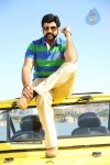 Balakrishna's Simha Movie New Gallery (Xclusive CineJosh) - 17 of 37