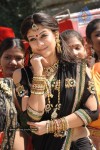 Balakrishna's Simha Movie New Gallery (Xclusive CineJosh) - 31 of 37