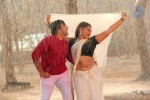 Barishtar Shankar Narayan Movie Stills - 11 of 54