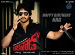 Bezawada Movie Wallpapers - 5 of 6