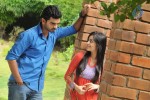 Bhadram Movie Stills and Walls - 29 of 43