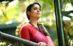 Bhaskar The Rascal Movie Stills - 2 of 19