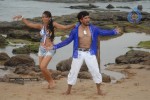 Bhojpuri Movie Stills - 21 of 24