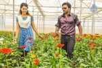 Billa Ranga Movie Stills - 32 of 46