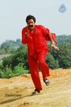 Bommali Movie New Stills - 9 of 71