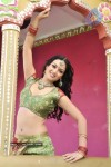 Brammi Gadi Katha Movie New Stills - 2 of 29