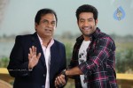 Brindavanam Movie Latest Stills - 26 of 22