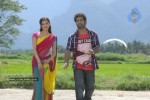 Brindavanam Movie Latest Stills - 33 of 22