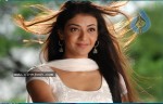 Brindavanam Movie New Stills - 5 of 21