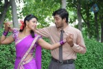 Brother of Bommali Movie Stills - 9 of 85