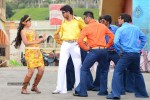 Brother of Bommali Movie Stills - 31 of 85