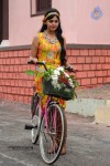 Brother of Bommali Movie Stills - 36 of 85