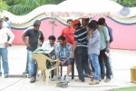 Brother of Bommali Movie Stills - 39 of 85