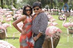 Buridi Movie Latest Gallery - 8 of 96