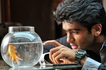 Chal Chal Gurram Movie Stills - 33 of 25