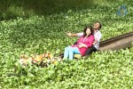 Chandamama Tamil Movie Photos - 13 of 52