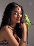 Chandra Tamil Movie Hot Stills - 33 of 39