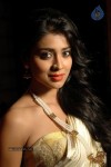 Chandra Tamil Movie Hot Stills - 36 of 39