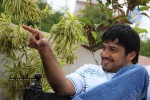 Chapter 6 Movie New Gallery - 73 of 89