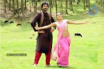 Chelagatam Movie Stills - 17 of 33