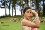 Chelagatam Movie Stills Gallery - 27 of 32