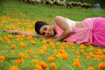 Chelagatam Movie Stills Gallery - 38 of 32