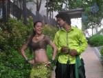 Chikki Mukki Tamil Movie Hot Stills - 46 of 52