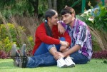 Chilipi Allarilo Chinni Aasa Movie New Stills - 7 of 25